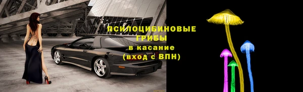 таблы Горнозаводск