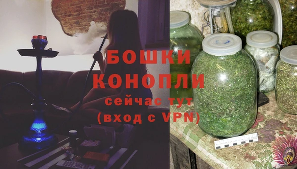 сатива Горно-Алтайск