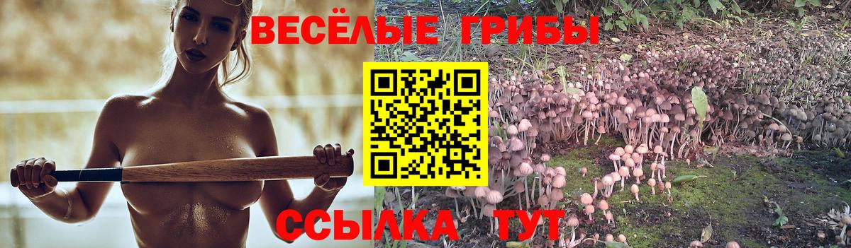 Галлюциногенные грибы MAGIC MUSHROOMS  Галлюциногенные грибы Psilocybe  Вход с VPN  Зеленогорск 
