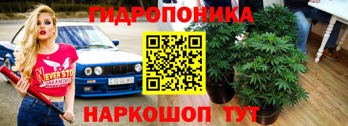 Зеленогорск  Конопля White Widow  Вход с VPN  Бошки марихуана OG Kush  Канабис White Widow 